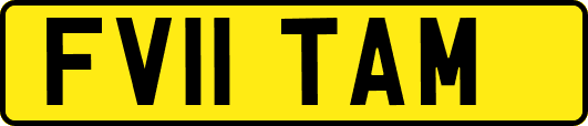 FV11TAM