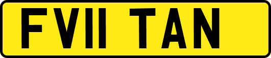 FV11TAN
