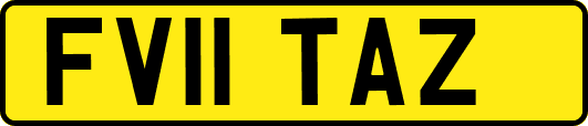 FV11TAZ