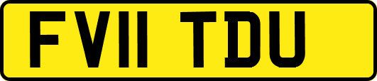 FV11TDU