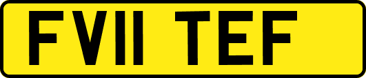FV11TEF