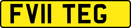 FV11TEG