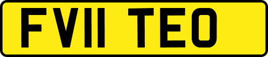 FV11TEO