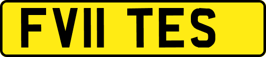 FV11TES