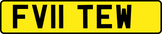 FV11TEW