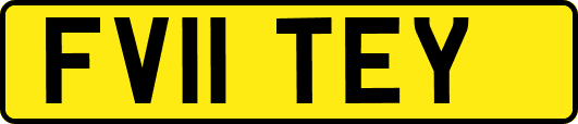 FV11TEY