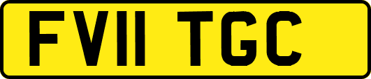 FV11TGC