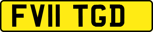 FV11TGD