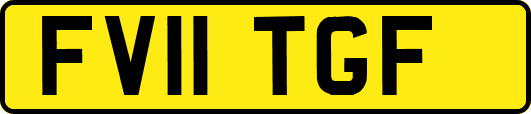 FV11TGF