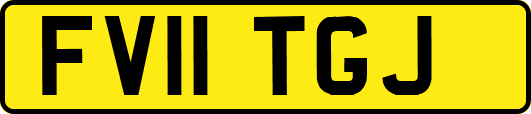FV11TGJ