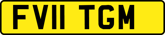 FV11TGM