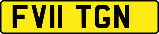 FV11TGN