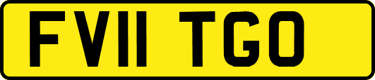 FV11TGO