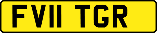 FV11TGR