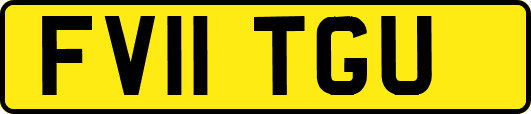 FV11TGU