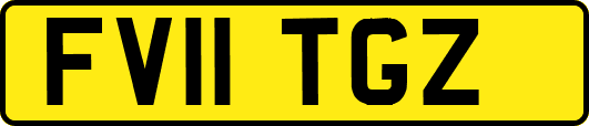 FV11TGZ