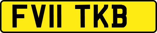 FV11TKB