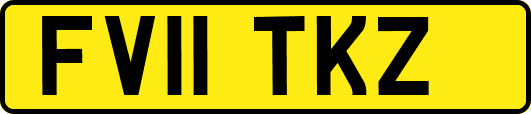 FV11TKZ