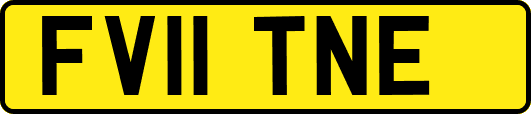 FV11TNE