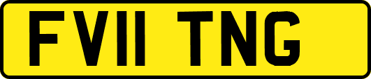 FV11TNG