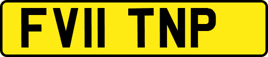 FV11TNP
