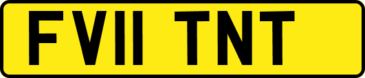 FV11TNT