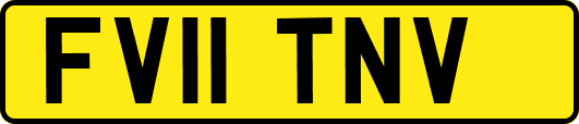 FV11TNV