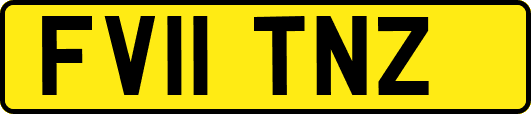 FV11TNZ