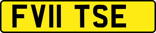 FV11TSE
