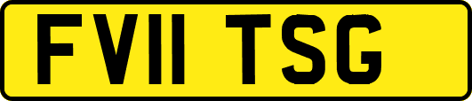 FV11TSG