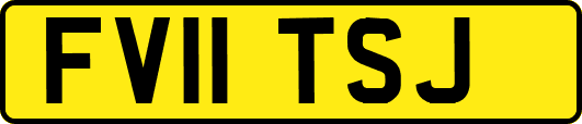 FV11TSJ