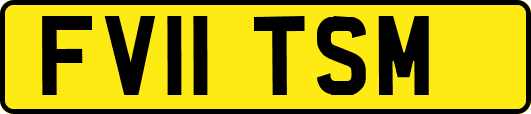 FV11TSM