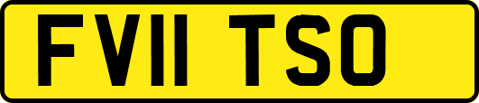 FV11TSO