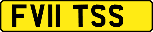 FV11TSS