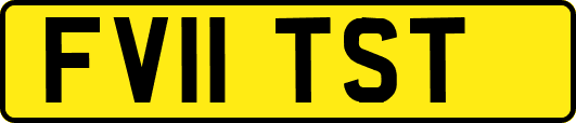 FV11TST
