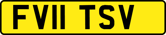 FV11TSV