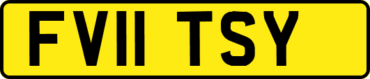 FV11TSY