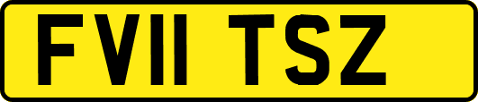 FV11TSZ