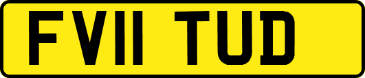 FV11TUD