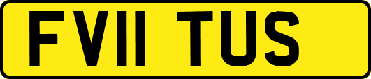 FV11TUS
