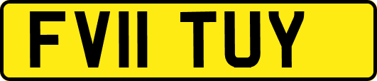 FV11TUY