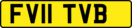 FV11TVB