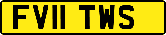 FV11TWS