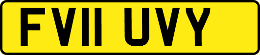 FV11UVY