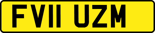 FV11UZM