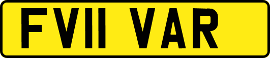 FV11VAR