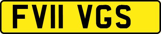 FV11VGS