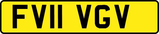 FV11VGV