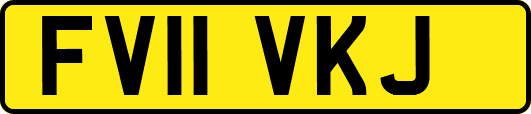 FV11VKJ