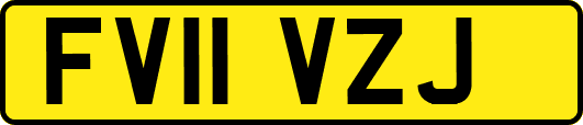FV11VZJ